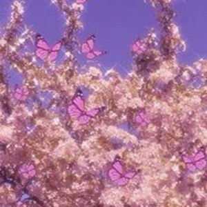 Meet your Posher, Ana